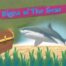 childrens book cover, signs of the sea based on a great white shark and seaweed hidden treasure.jpg